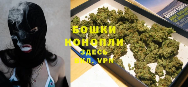 крисы Козловка